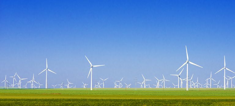 Sustainability