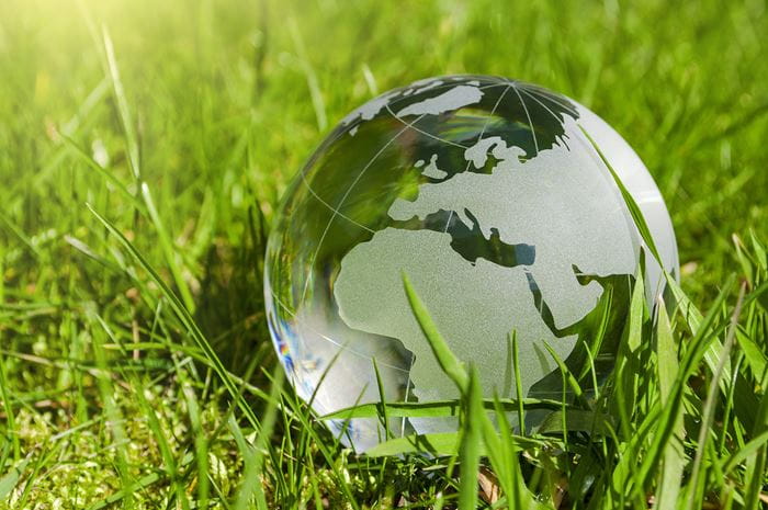 Sustainability globe