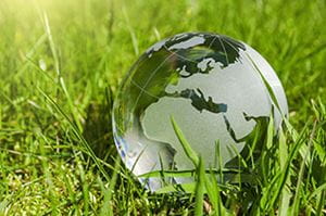 glass globe on the grass