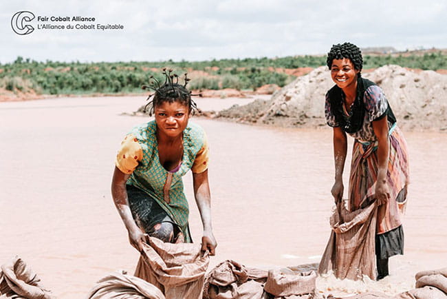 Sustainability newsletter September 2021