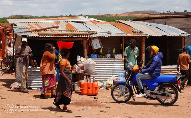 Sustainability newsletter September 2021