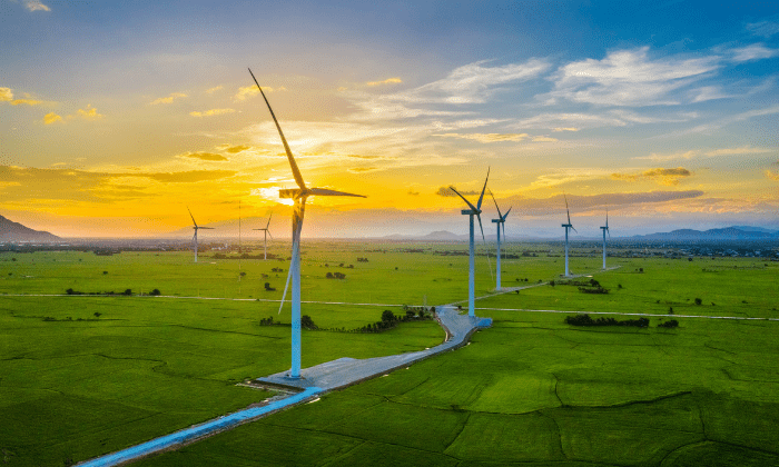 LME Sustainability Morning