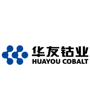 Huayou (Hong Kong) Co., Limited
