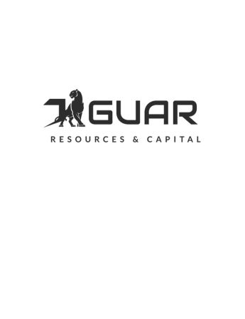 Company logo for Jaguar Resources and Capital