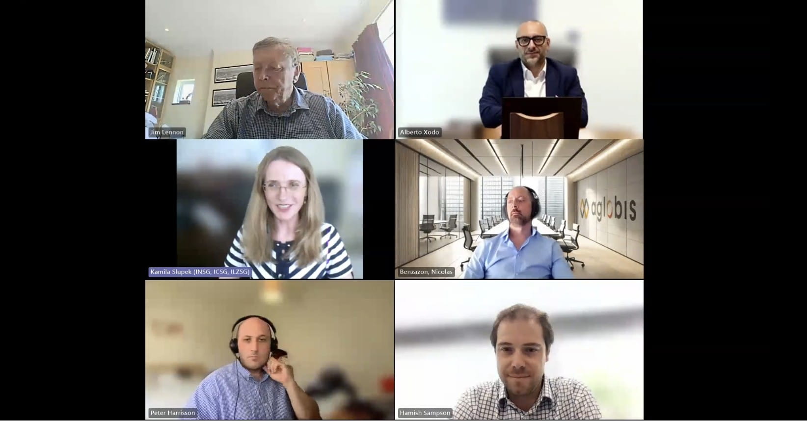 screenshot from Sulphur's Impact on Global Metal Value Chains webinar